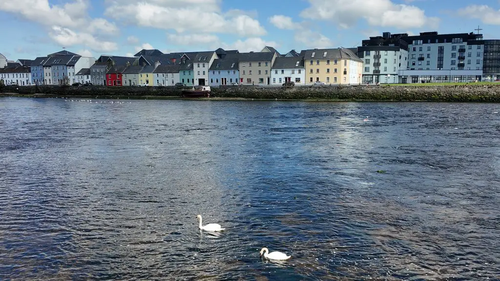 Colorful Galway homes with swans in the river in front on a sunny day.