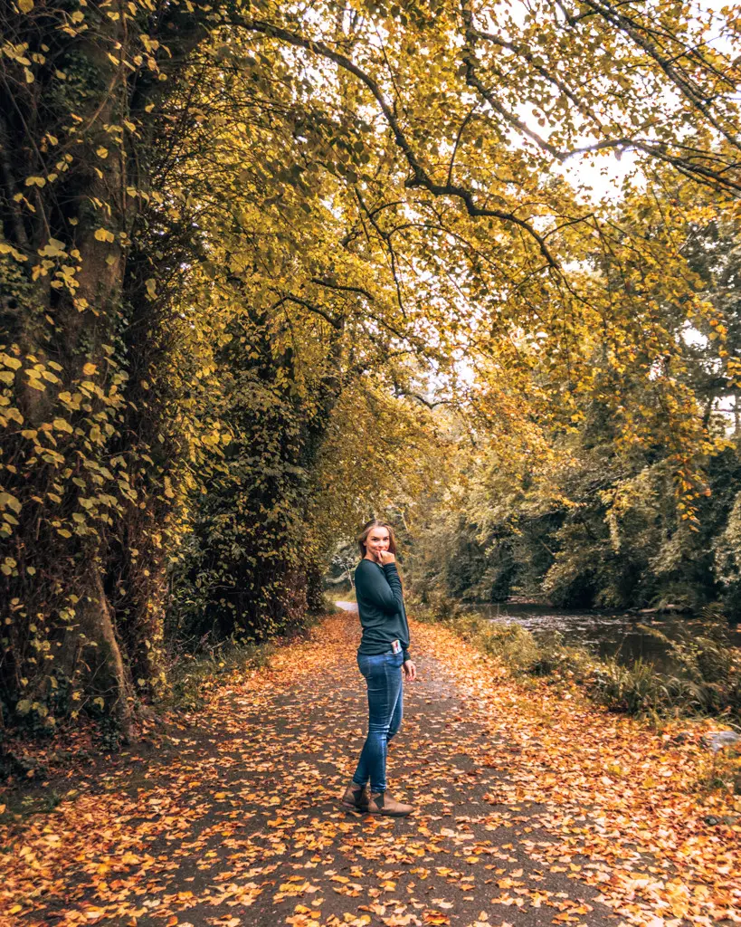 Me standing on a pathway surrounded by trees in Killarney National Park.