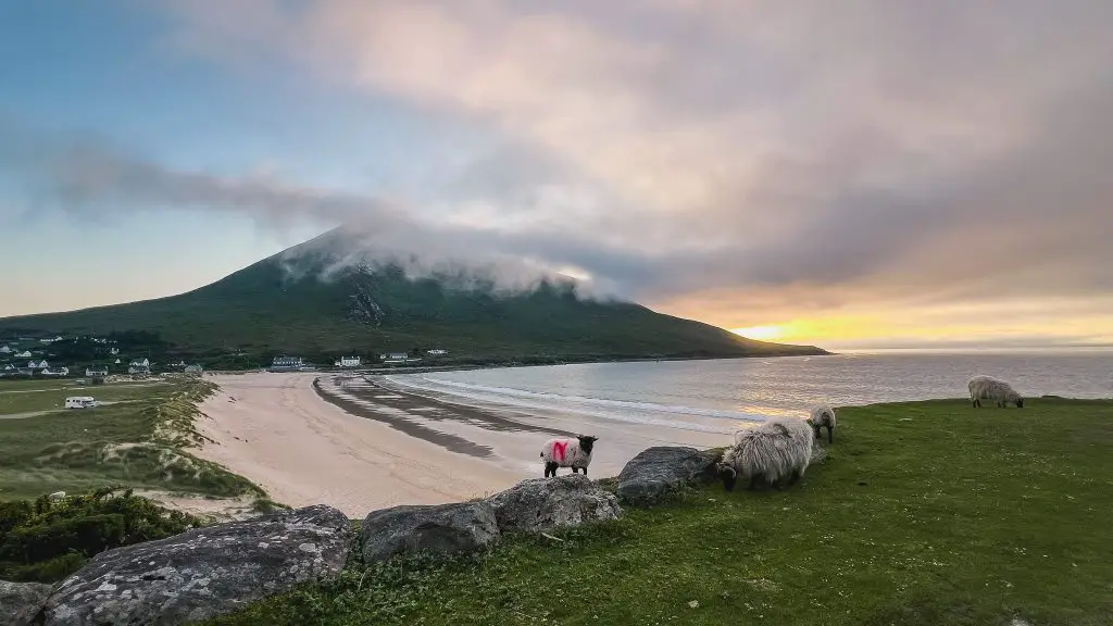 Sunset on Achill Island over Dugort Beach with sheep grazing. May in Ireland is one of the best times of the year to visit Ireland.
