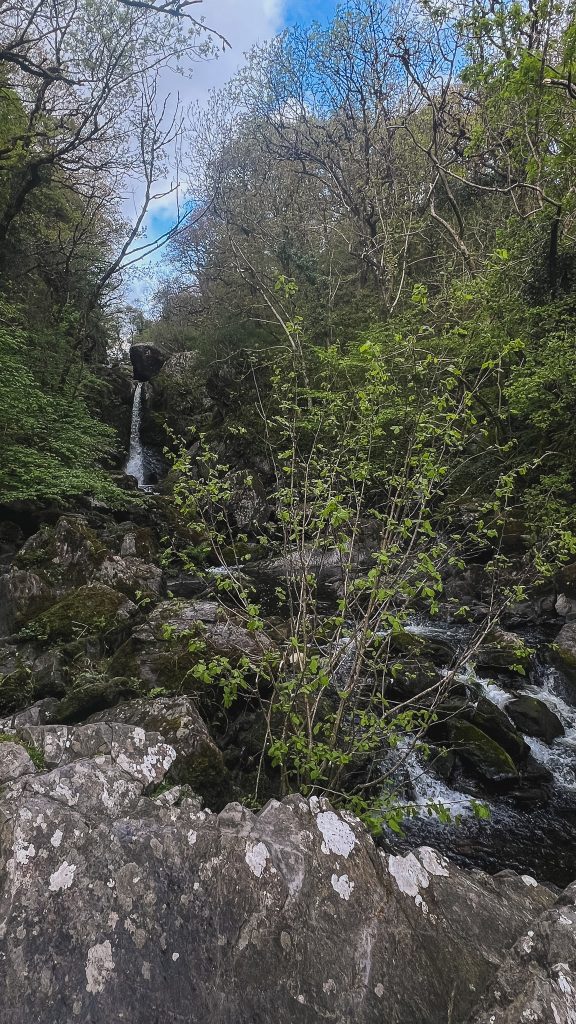Waterfall in the background surrounded by a lot of greenery and rocks on the Devil's Glen Hike in Wicklow, Ireland.