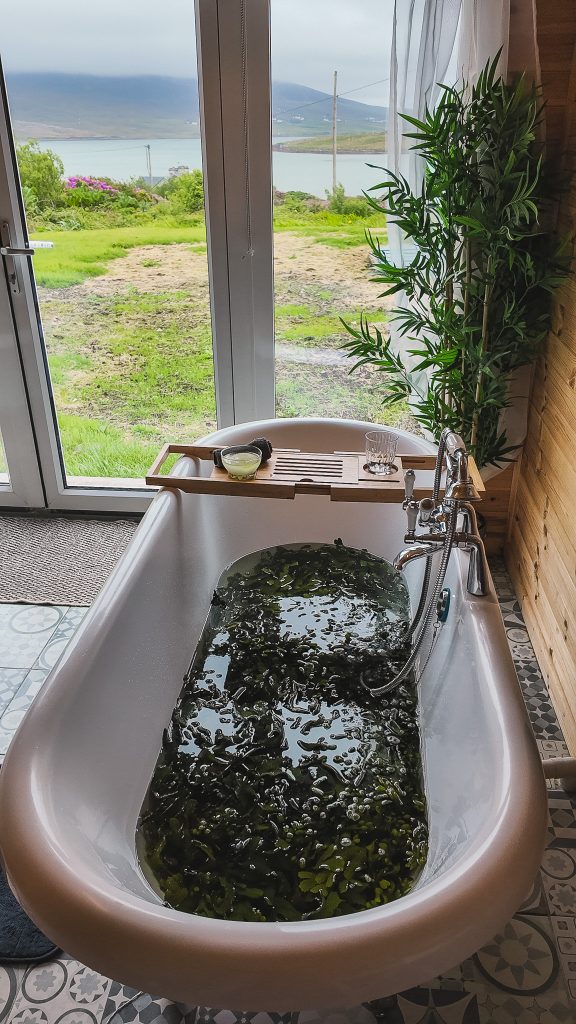Bath tub filled with water and seaweed in front of a large window looking out to Achill Sound.